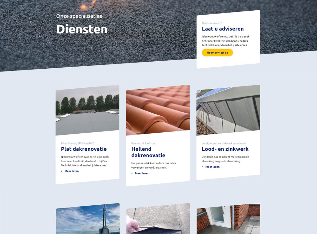 Portfolio afbeeldingen-Daktechniek7